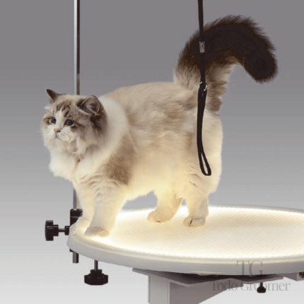 Mesa Led Hidraulica Circular para Mascotas JIRPET - L30