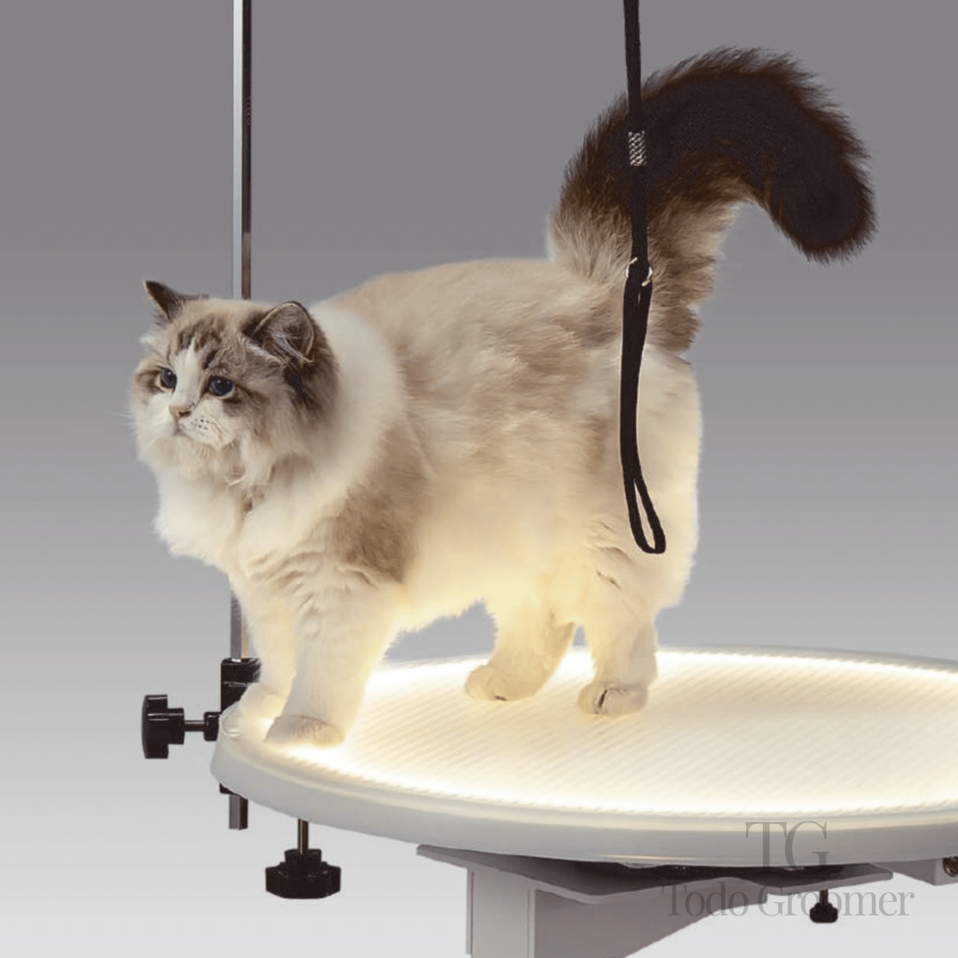 Mesa Led Hidraulica Circular para Mascotas JIRPET - L30